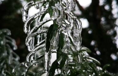 Flunssa iskee, oletko valmis?