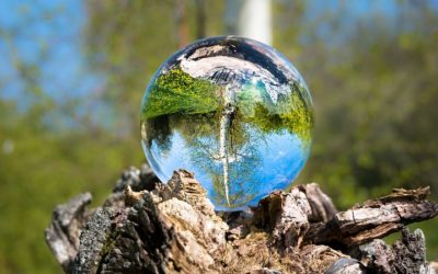 Asiakkaiden hoitokertomuksia homeopatiasta