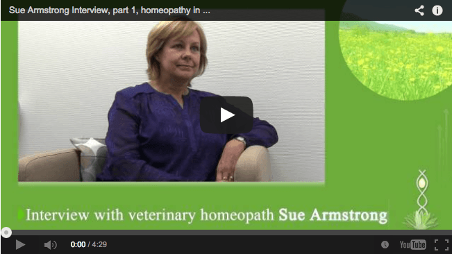 Sue Armstrong haastattelu (osa 1) koskien homeopatiaa