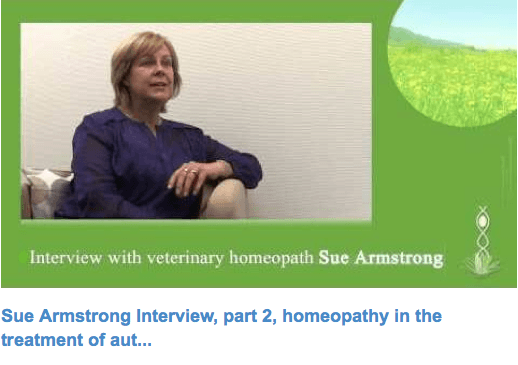 Sue Armstrong haastattelu (osa 2) koskien homeopatiaa ja autoimmuunisairauksia eläimillä